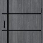 Exterior Steel Door FBS-BIE1