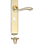 Zoo Hardware Fulton & Bray Arundel Door Handles On Long Backplate, Polished Brass - FB031 (sold in pairs)